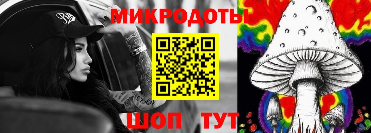 Вязьма  что такое наркотик  Вход с VPN  Галлюциногенные грибы прущие грибы  Псилоцибиновые грибы ЛСД 